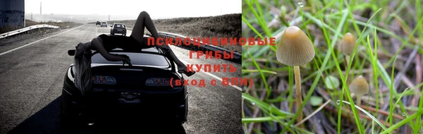 Альфа ПВП Россошь