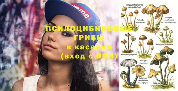 jwh Ростов