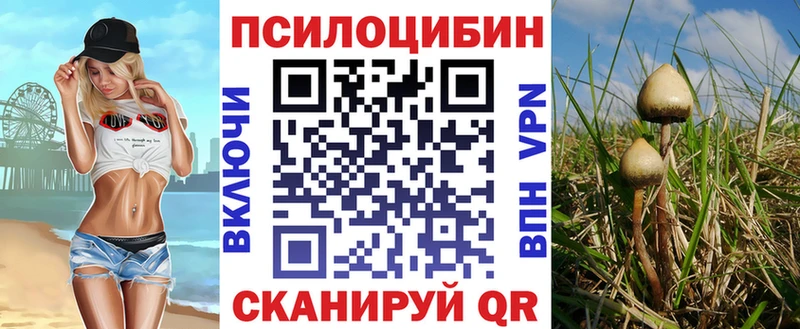 где можно купить наркотик  Гагарин  Галлюциногенные грибы мухоморы 