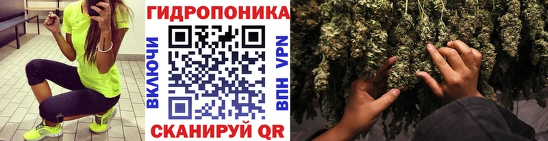 Канабис Amnesia  Гагарин 